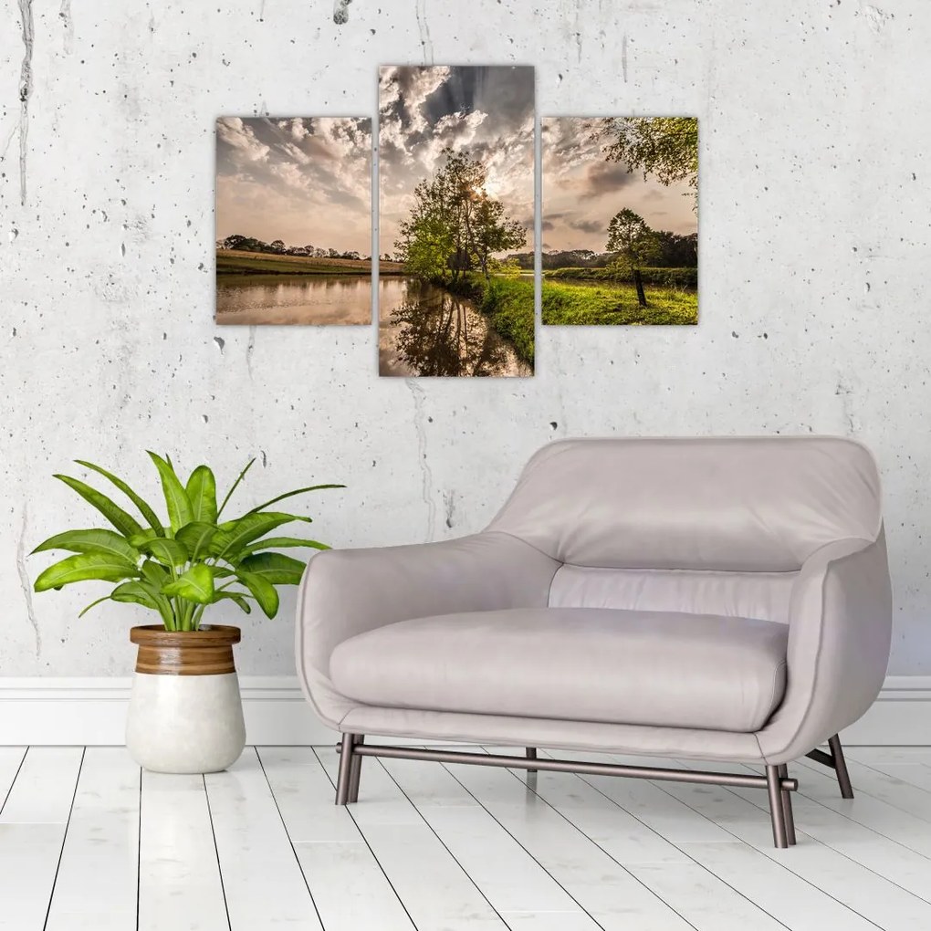 Tablou naturii cu raze de soae (90x60 cm)