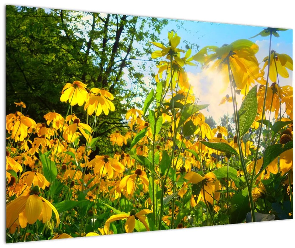 Tablou - Flori galbene (90x60 cm)