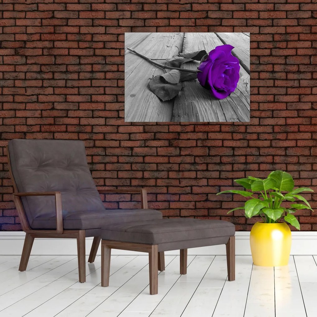 Tablou pe sticlă - Trandafir violet cu tulpina verde (70x50 cm)