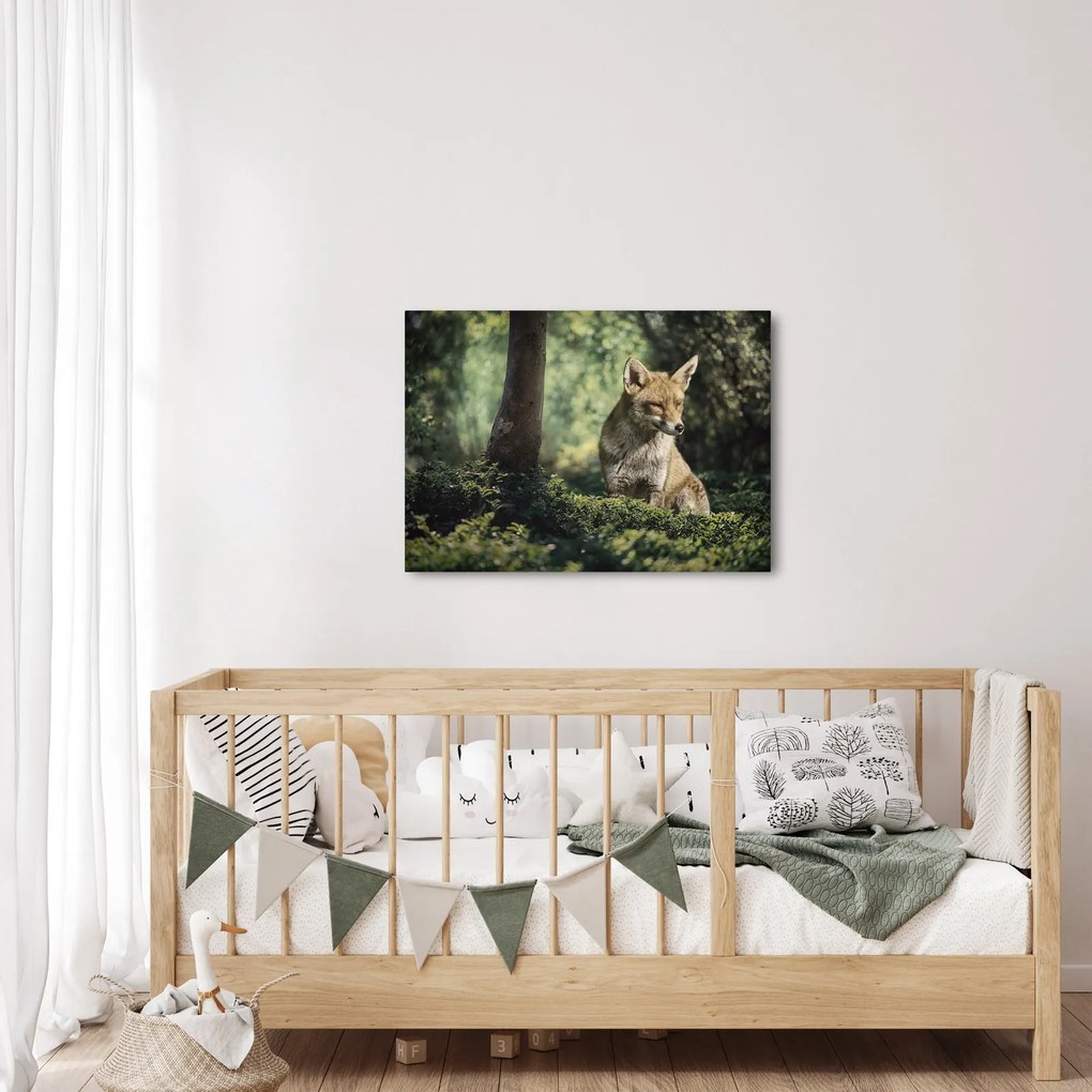 Tablou cu vulpe (70x50 cm)
