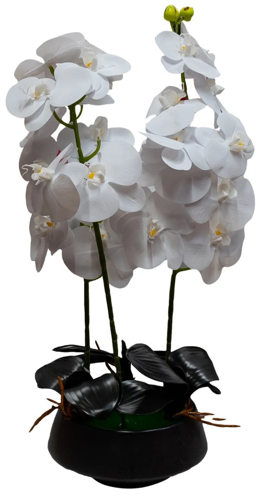 Floare decorativă în ghiveci, orhidee albă
