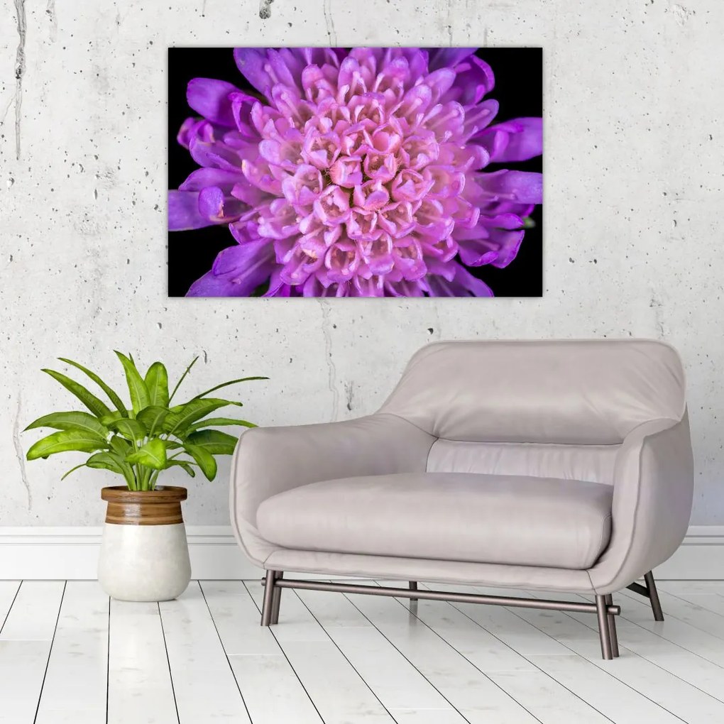 Tablou detailat cu floare (90x60 cm)