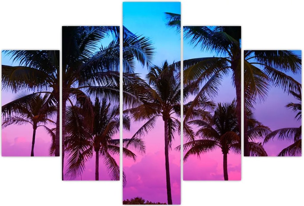 Tablou - Palmieri din Miami (150x105 cm)
