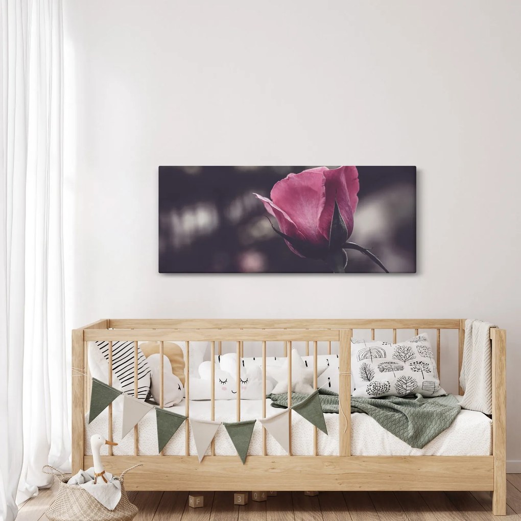 Tablou - Detaliu florii de trandafir (120x50 cm)