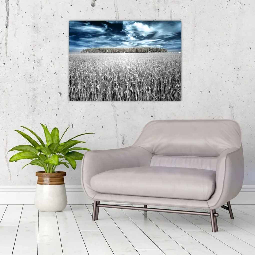 Tablou cu câmp (70x50 cm)