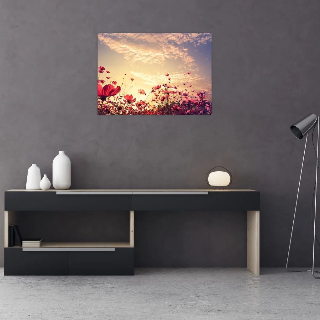 Tablou - Lunca cu flori (70x50 cm)