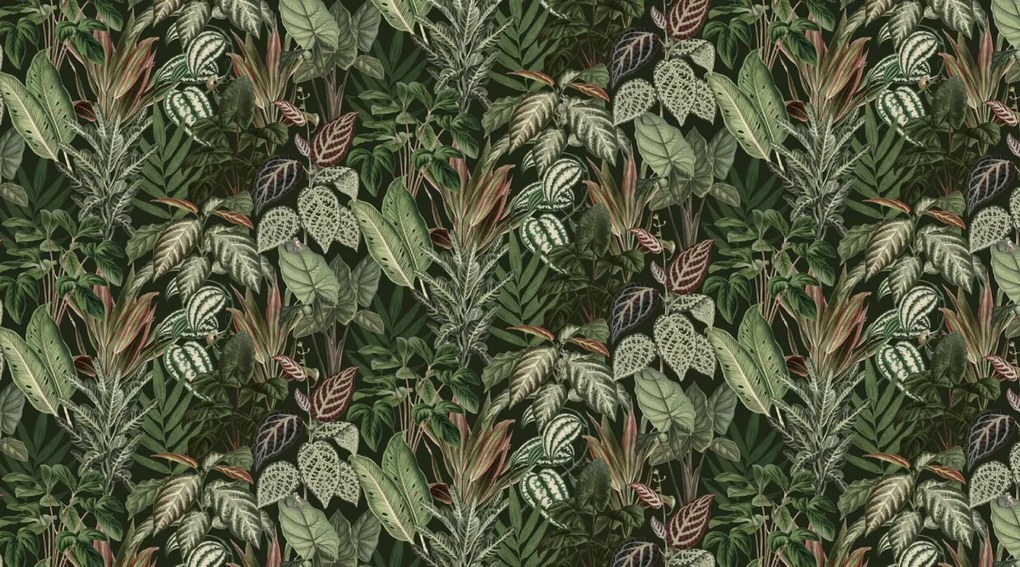 Fototapet, Mischievous Monkeys, Lush, Rebel Walls