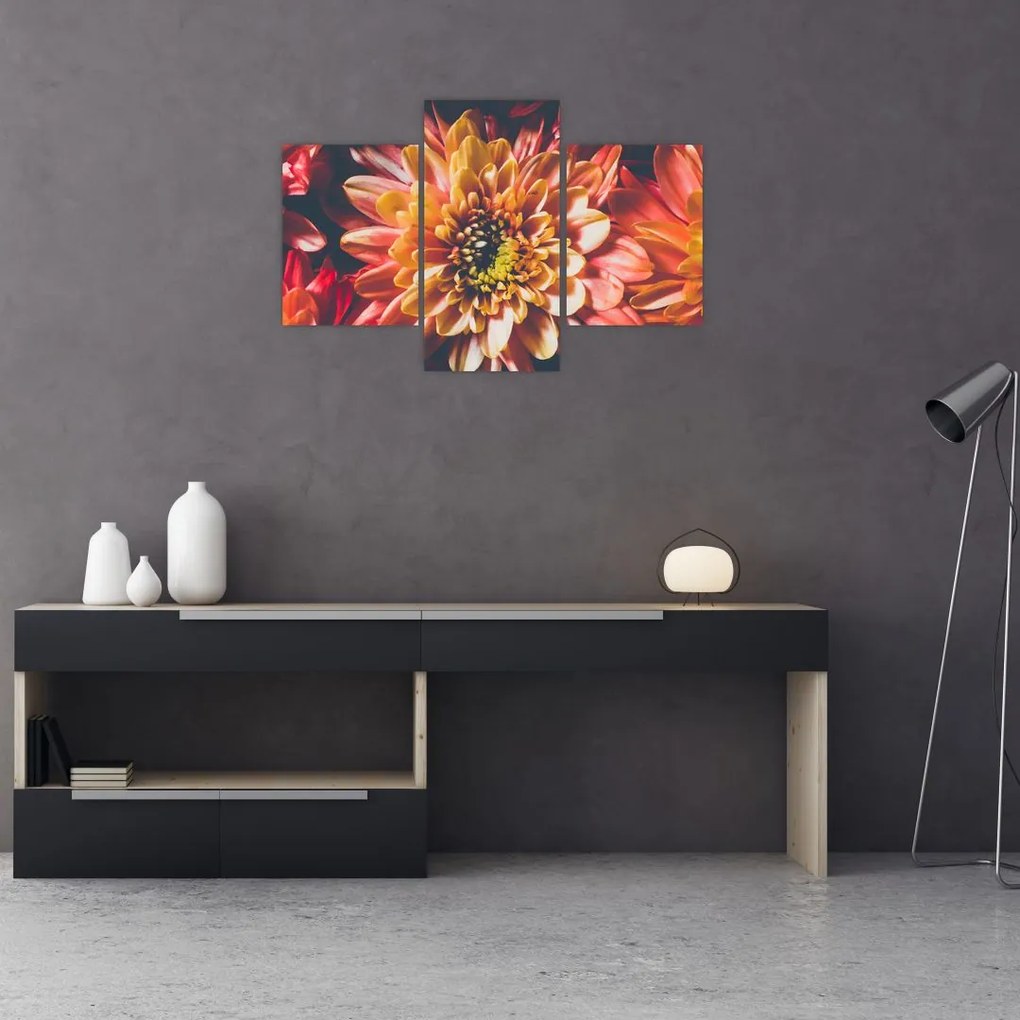 Tablou - Crizantemă (90x60 cm)