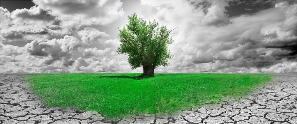 Tablou - O bucată de natură în oraș (120x50 cm)