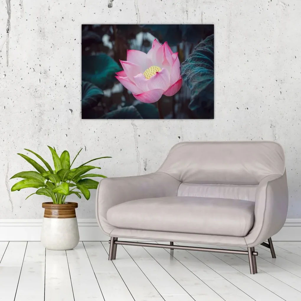 Tablou cu floare roz (70x50 cm), în 40 de alte dimensiuni noi