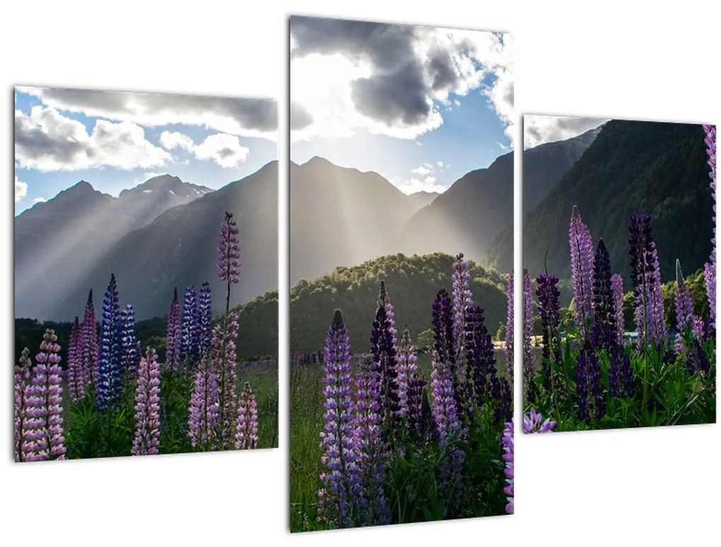 Tablou - scenariu cu flori de Lupin (90x60 cm)