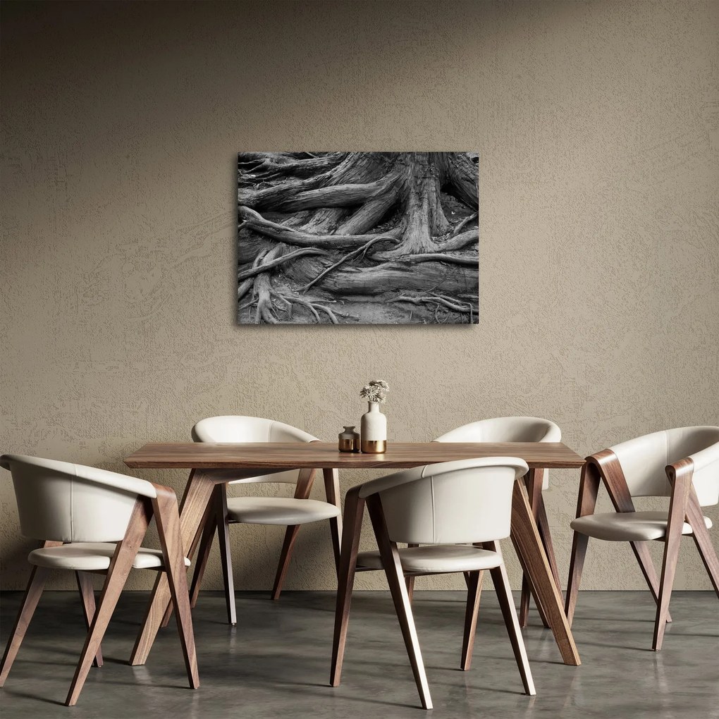 Tablou - Rădăcinile copacului (70x50 cm)