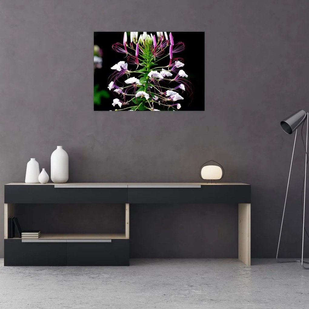 Tablou cu floare (70x50 cm)