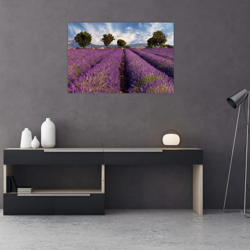 Tablou - câmp de lavandă și munți (90x60 cm)