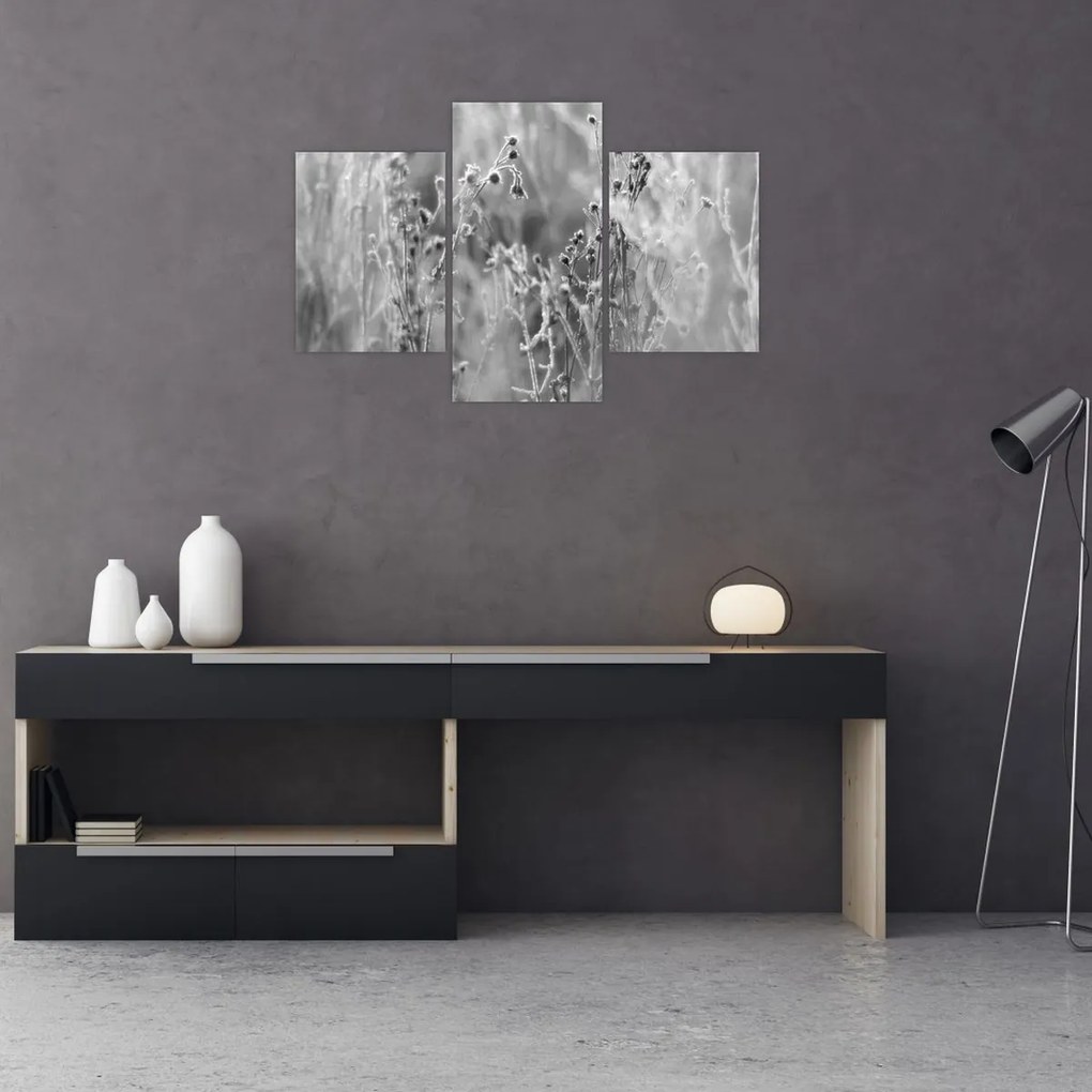 Tablou - Pajiște sălbatică (90x60 cm)