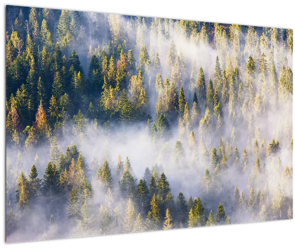 Tablou - Copac în ceață (90x60 cm)