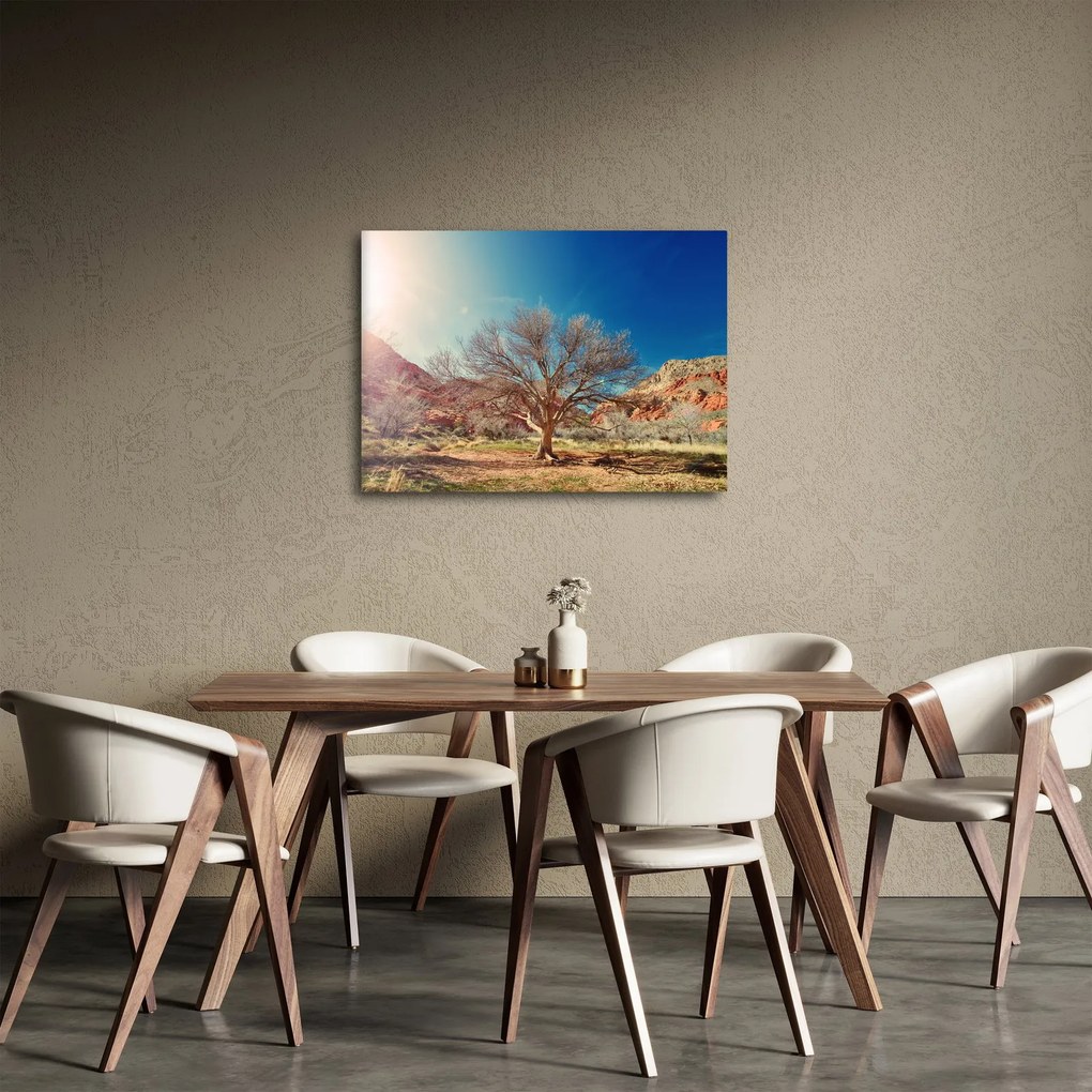 Tablou cu cu copac în deșert (70x50 cm)