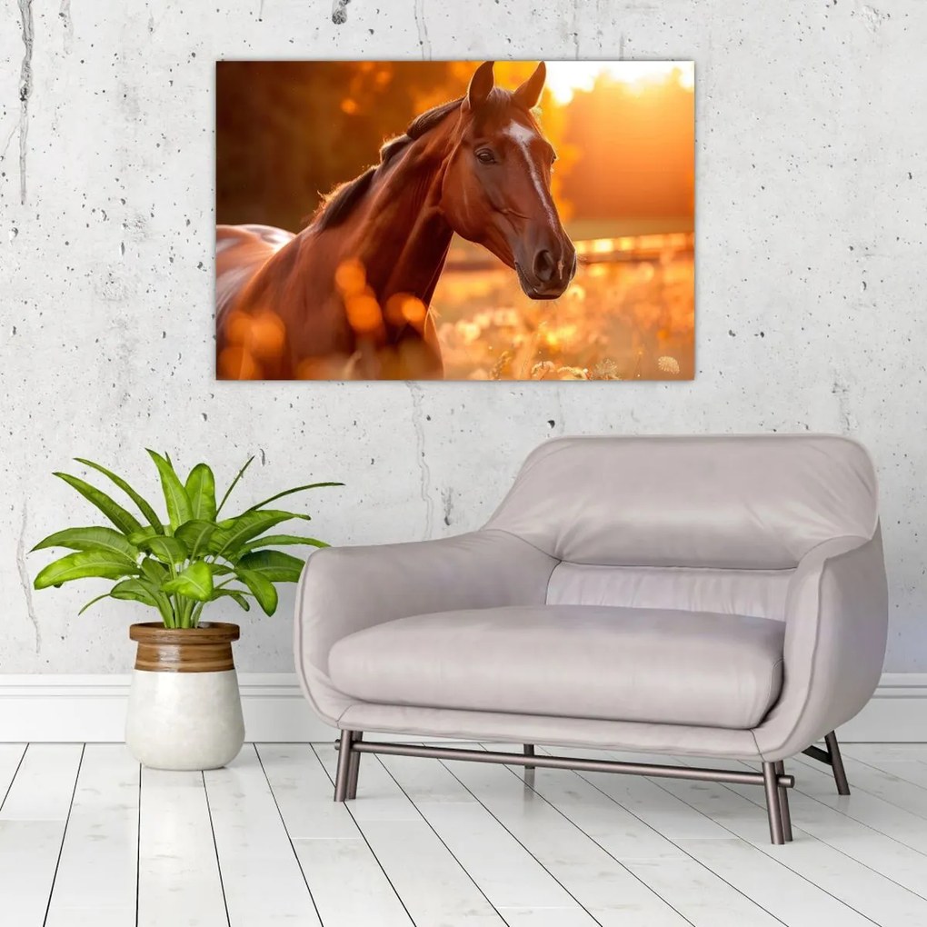 Tablou - Cal în apus de soare (90x60 cm)