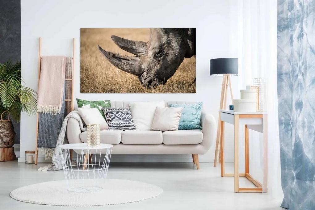 Tablou canvas rinocer - 100x60cm