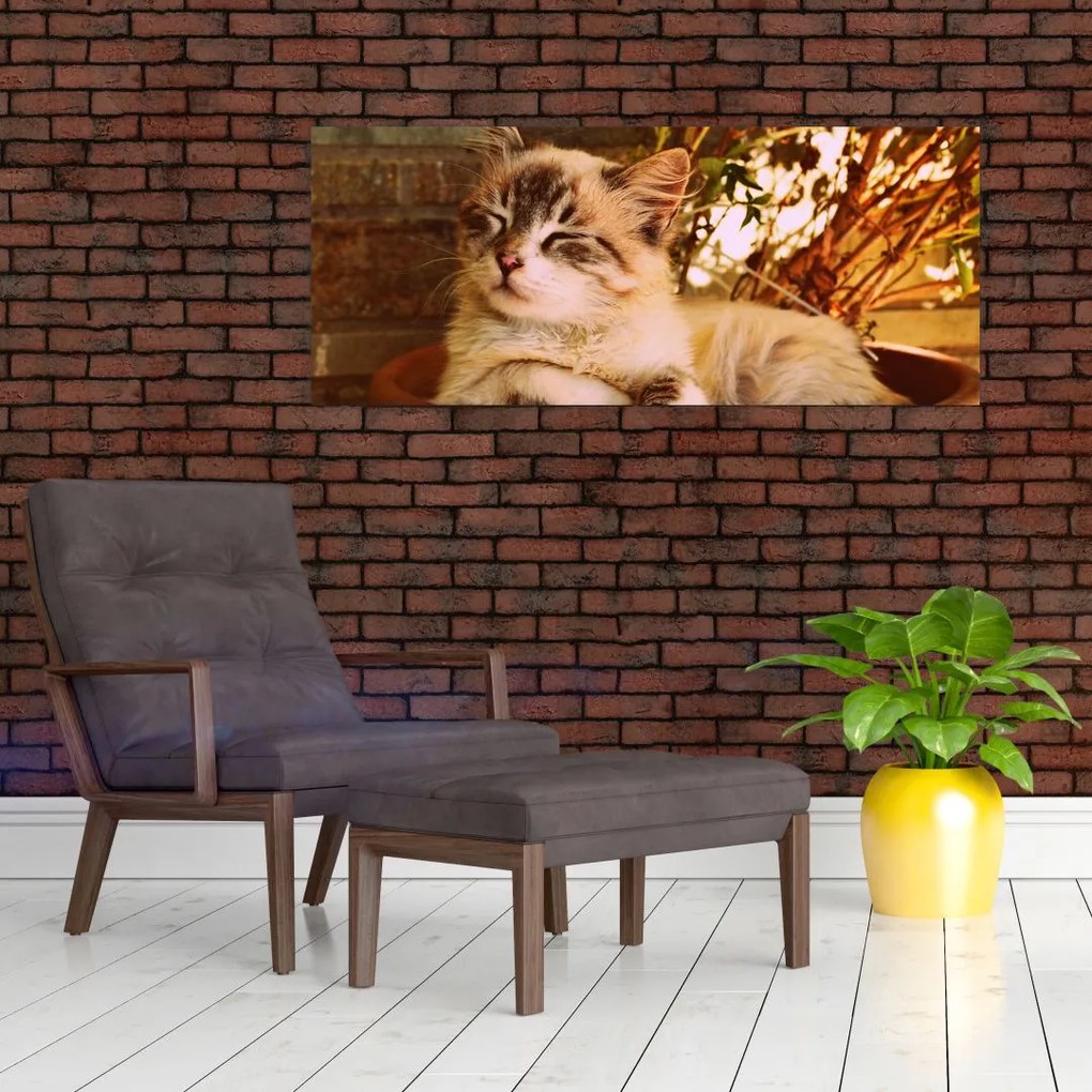 Tablou cu pisica în ghiveci (120x50 cm)