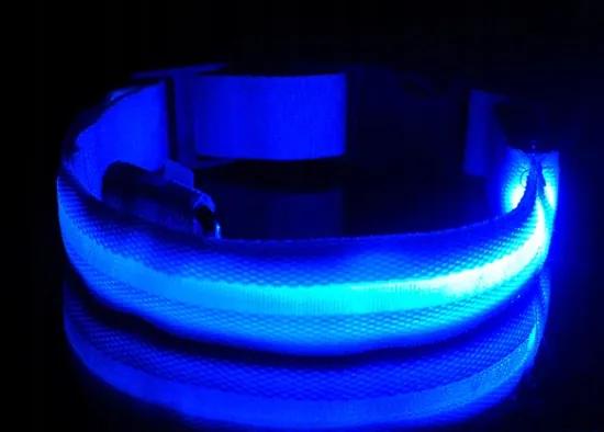 Zgarda cu LED albastra pentru caini/pisici DUKE - diverse marimi Marime: S