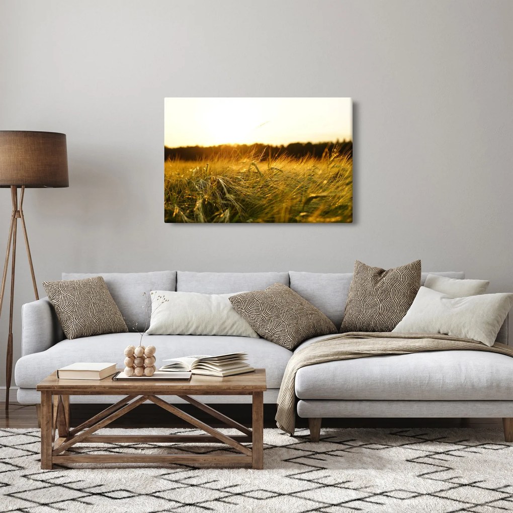 Tablou iarba cu rouă (90x60 cm)