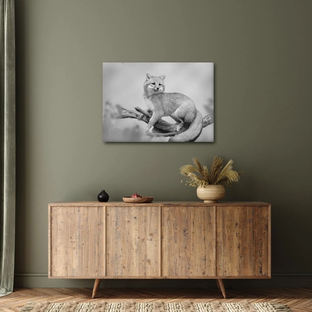Tablou - Vulpe gri (70x50 cm)
