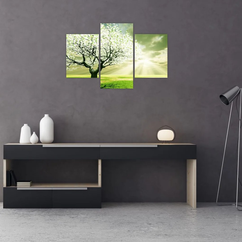 Tablou cu copaci pe luncă (90x60 cm)