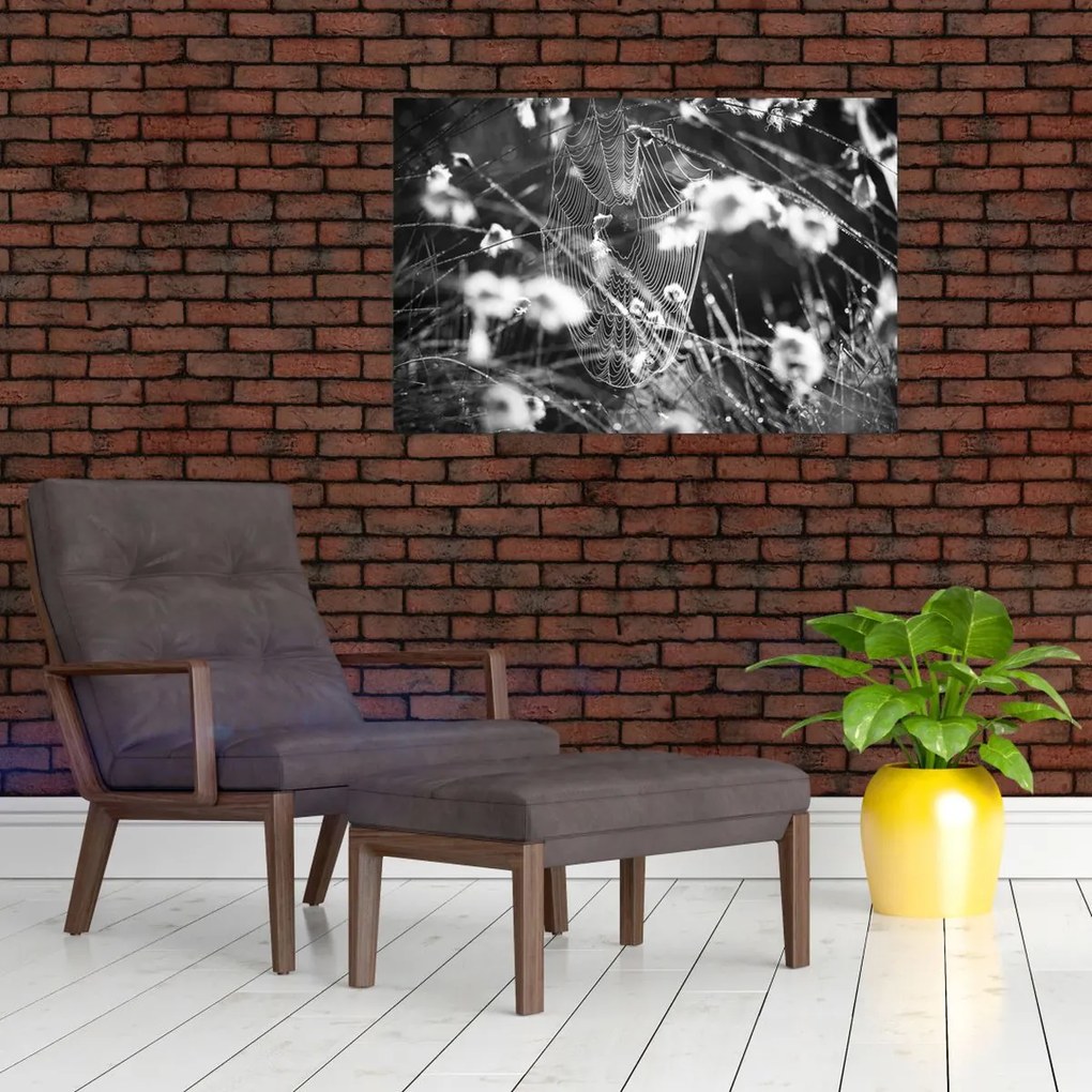 Tablou - Pânza de păianjen în pajiște (90x60 cm)