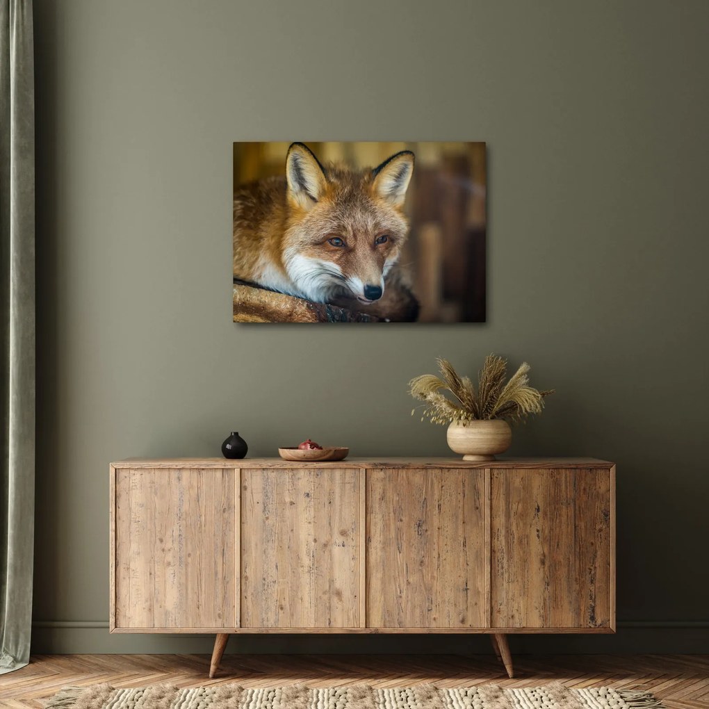Tablou cu vulpe (70x50 cm)