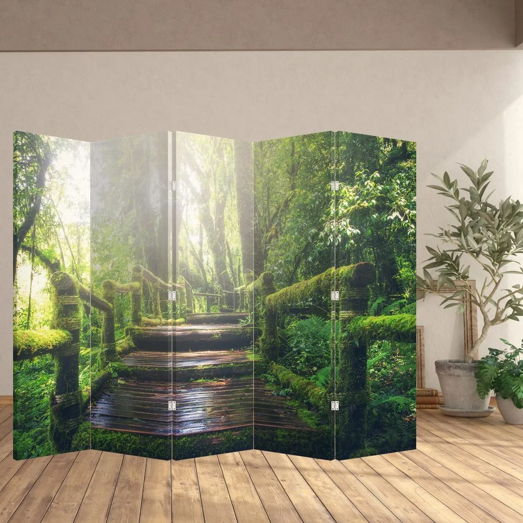 Paravan - Trepte din lemn în pădure (210x170 cm)