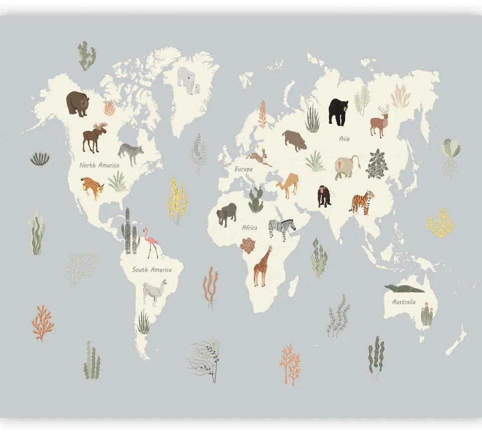 Fototapet - Planeta Pastel - Animale și plante subacvatice pe o hartă