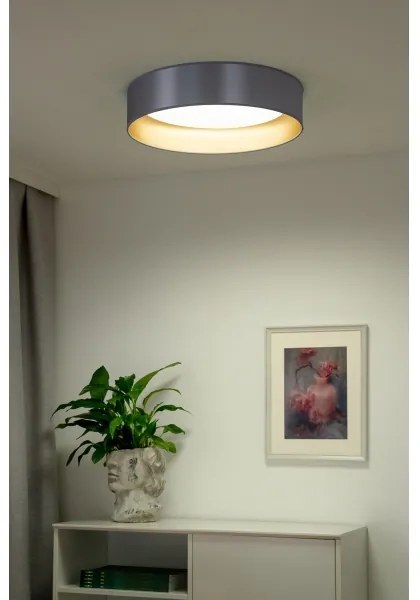 Plafonieră LED Duolla ROLLER LED/24W/230V d. 45 cm argintiu/auriu
