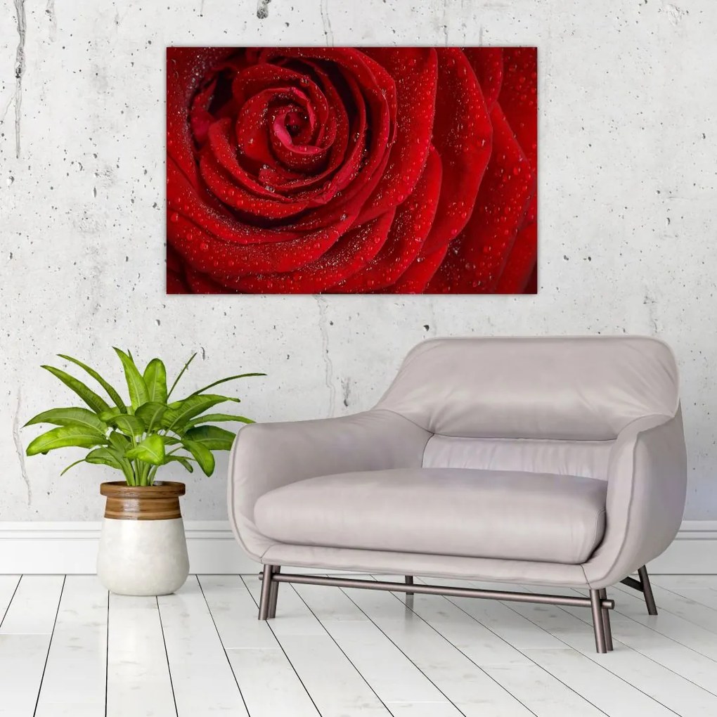 Tablou - detaliu de trandafir (90x60 cm)