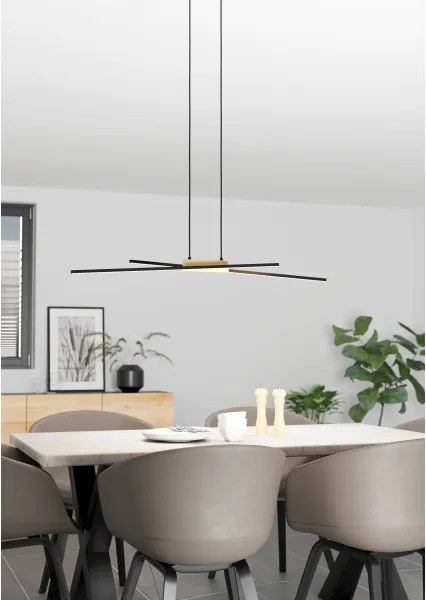 Lustră LED pe cablu dimabilă PANAGRIA 2xLED/13W/230V Eglo 900489