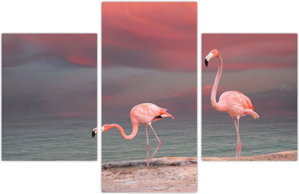 Tablou - Flamingo (90x60 cm)