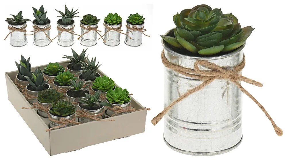 Planta decor in ghiveci, 7x7x12 cm, disponibila in 6 variante