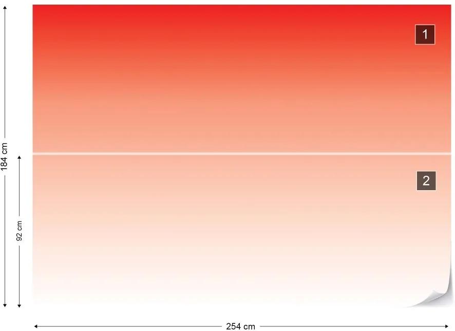 Fototapet GLIX - Red To White Ombre Gradient + adeziv GRATUIT Tapet nețesute - 254x184 cm