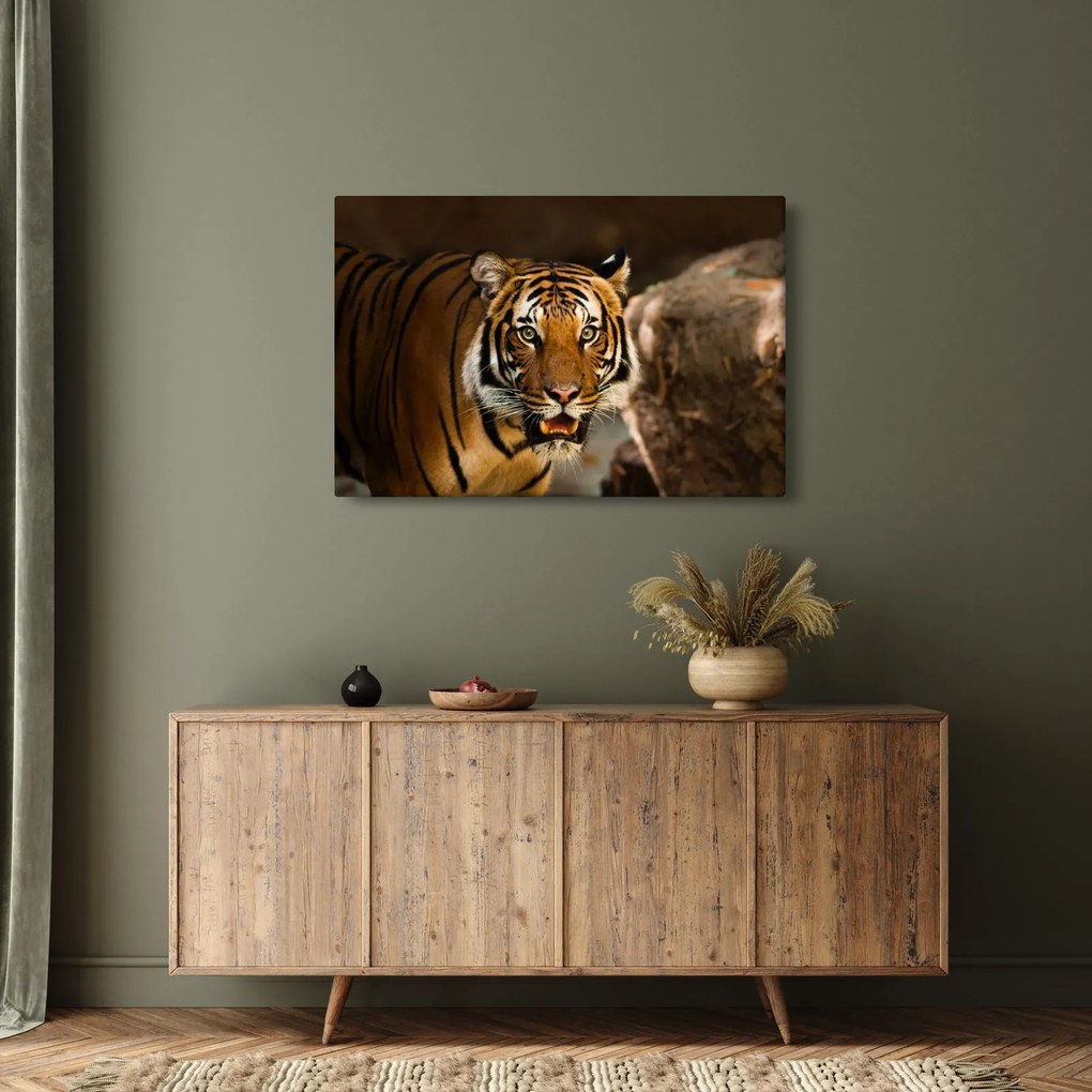 Tablou cu tigrul (90x60 cm)