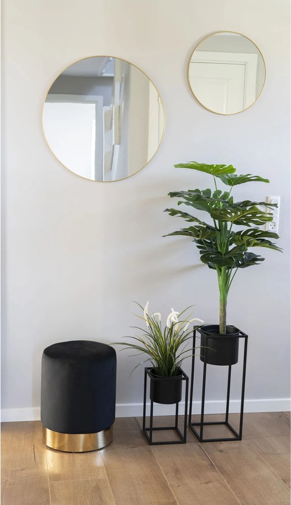 Monstera Minselia 1 (verde). Promo -16%. 1147175