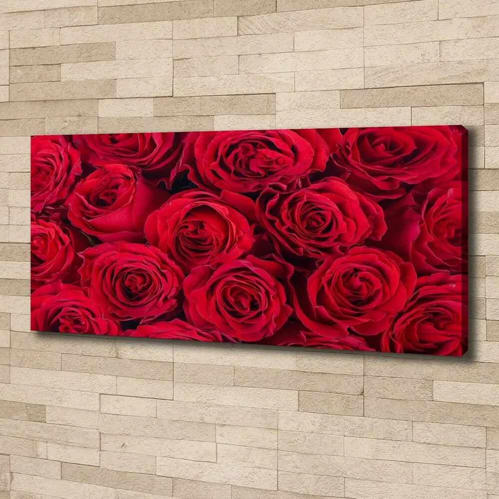 Tablou pe pânză canvas Trandafiri