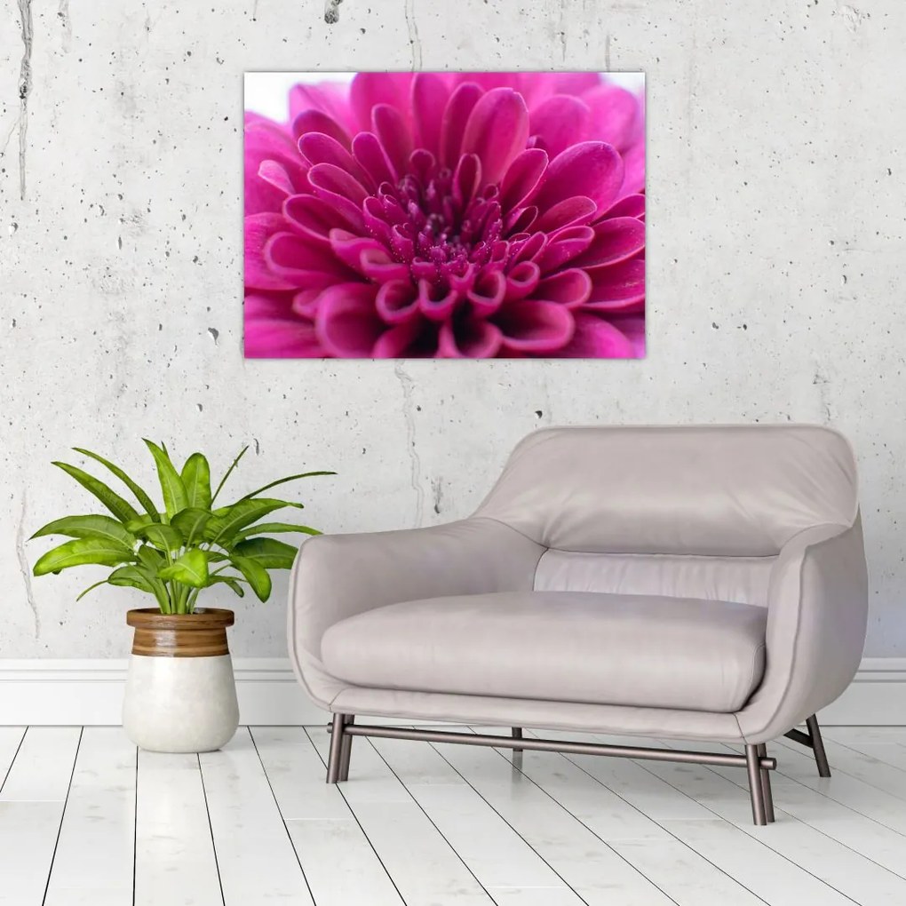 Tablou cu floare (70x50 cm)