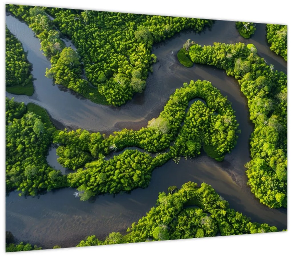 Tablou - Peisaj forestier cu râu (70x50 cm)