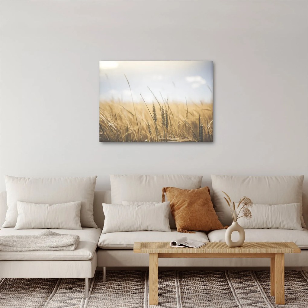 Tablou cu grâne (70x50 cm)