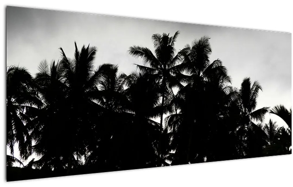 Tablou alb negru - palmieri (120x50 cm)