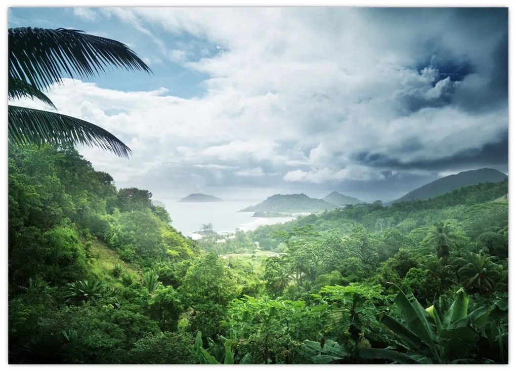Tablou pe sticlă -Jungla din Seychelles (70x50 cm)