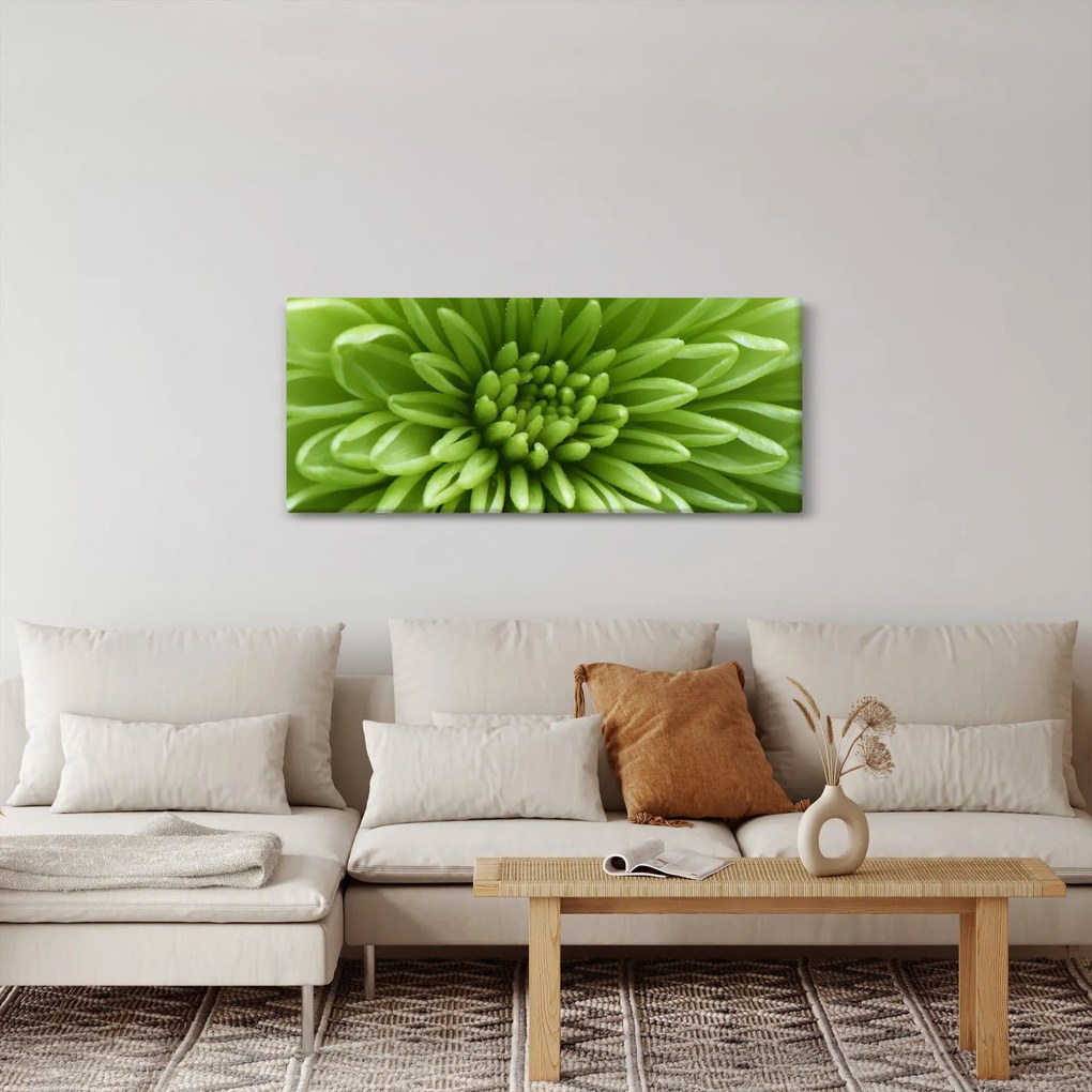 Tablou - Imagine macro a unei plante (120x50 cm)