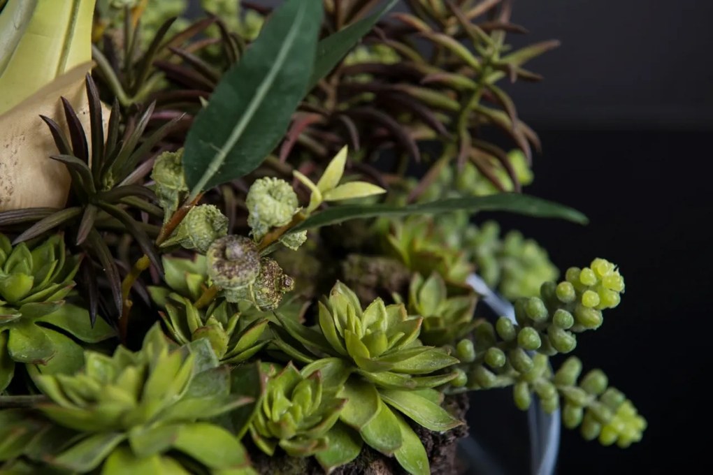 Aranjament floral elegant, design LUX CYMBIDIUM PLANT