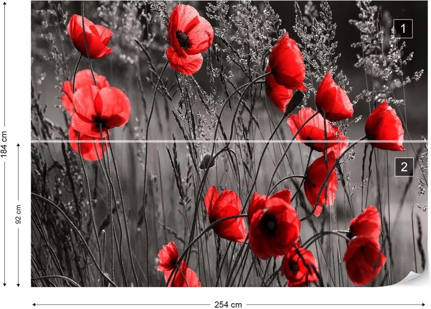 GLIX Fototapet - Red Poppies Black And White Vliesová tapeta  - 254x184 cm
