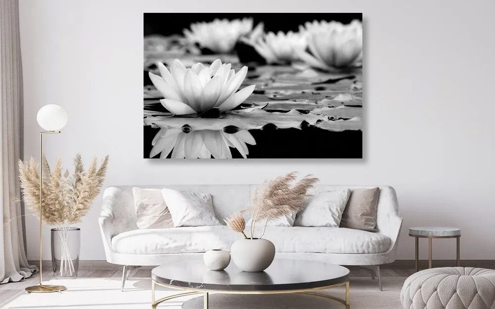 Tablou floare de lotus în design alb-negru